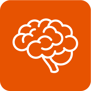 Icon_brain_orange box