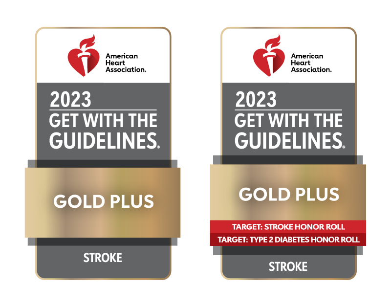 Two award badges for Gold Plus level of 2023 Get the Guidelines for Stroke